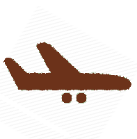Landing Airplane Icon